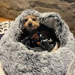 Meet your Posher, Suzanne